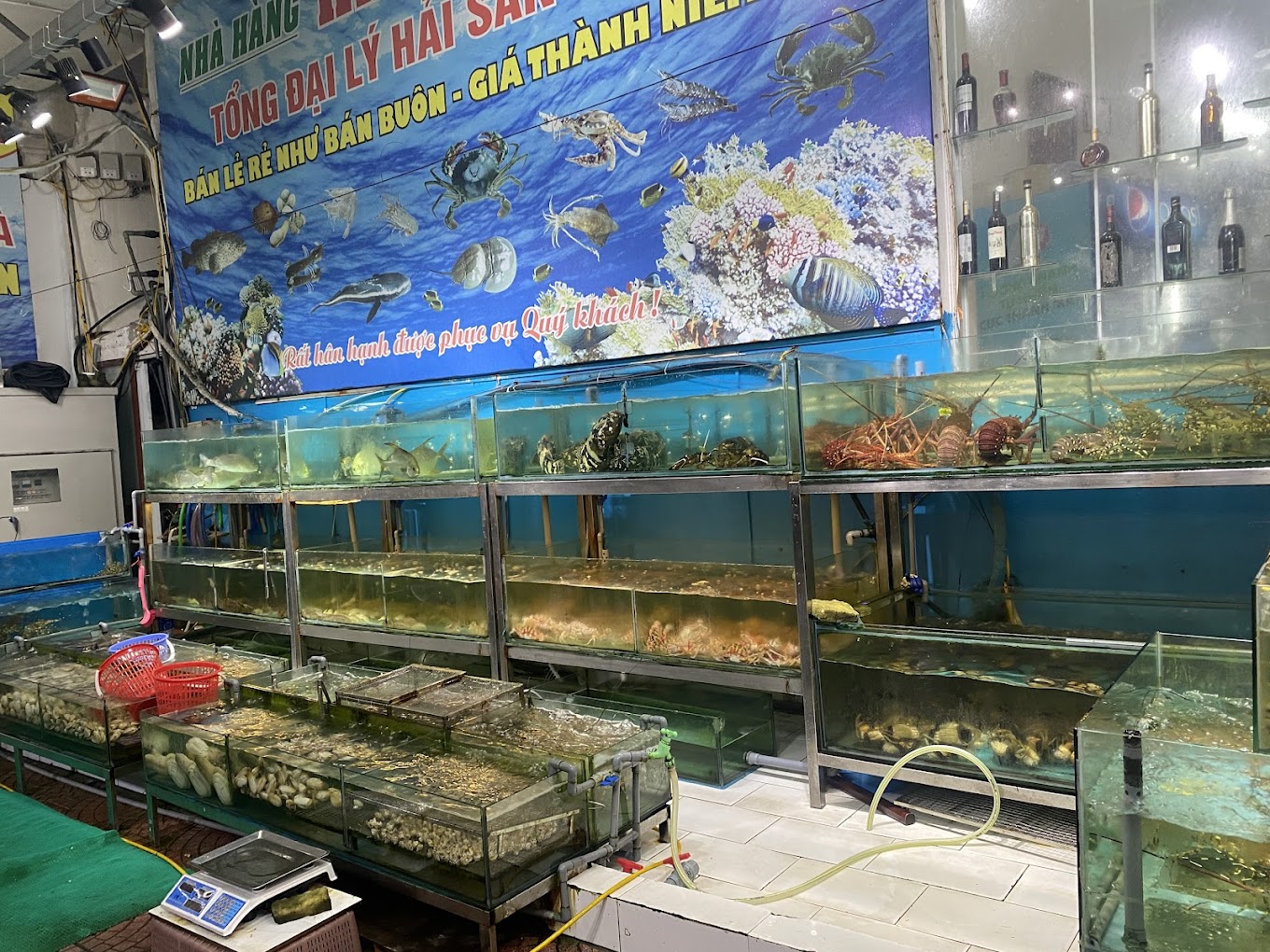 Hình ảnh nhà hàng