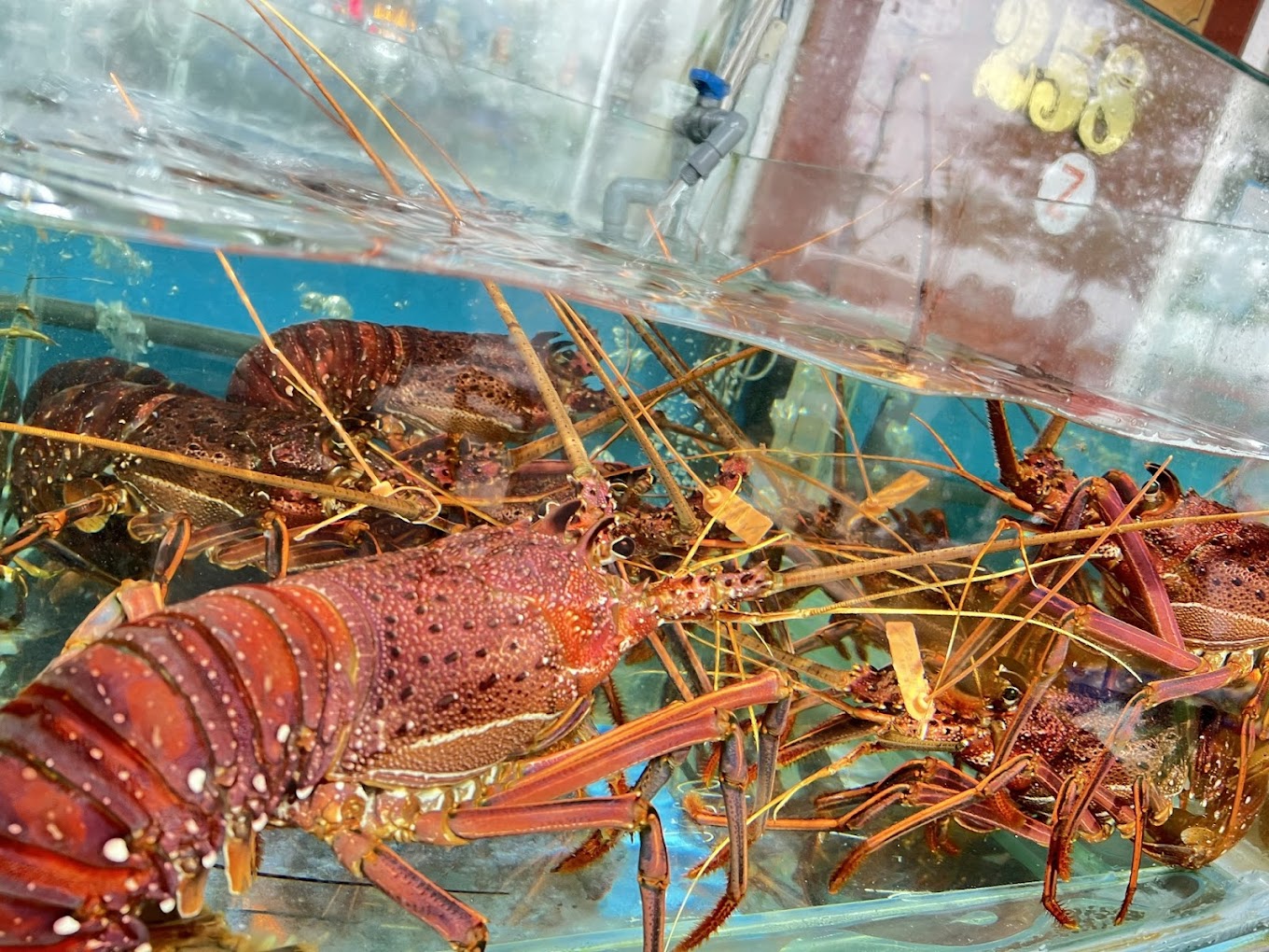 Hình ảnh nhà hàng