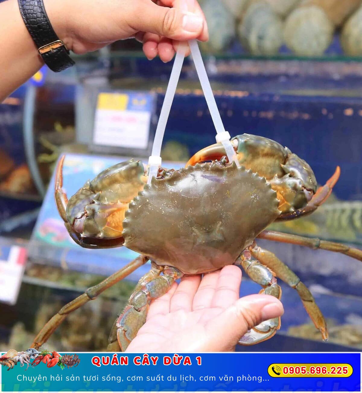 Hình ảnh nhà hàng