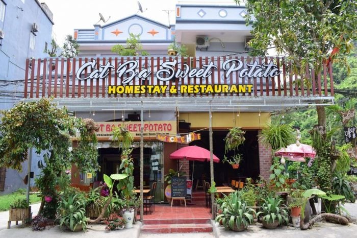 Homestay-Hai-Phong-gan-bien6.jpg