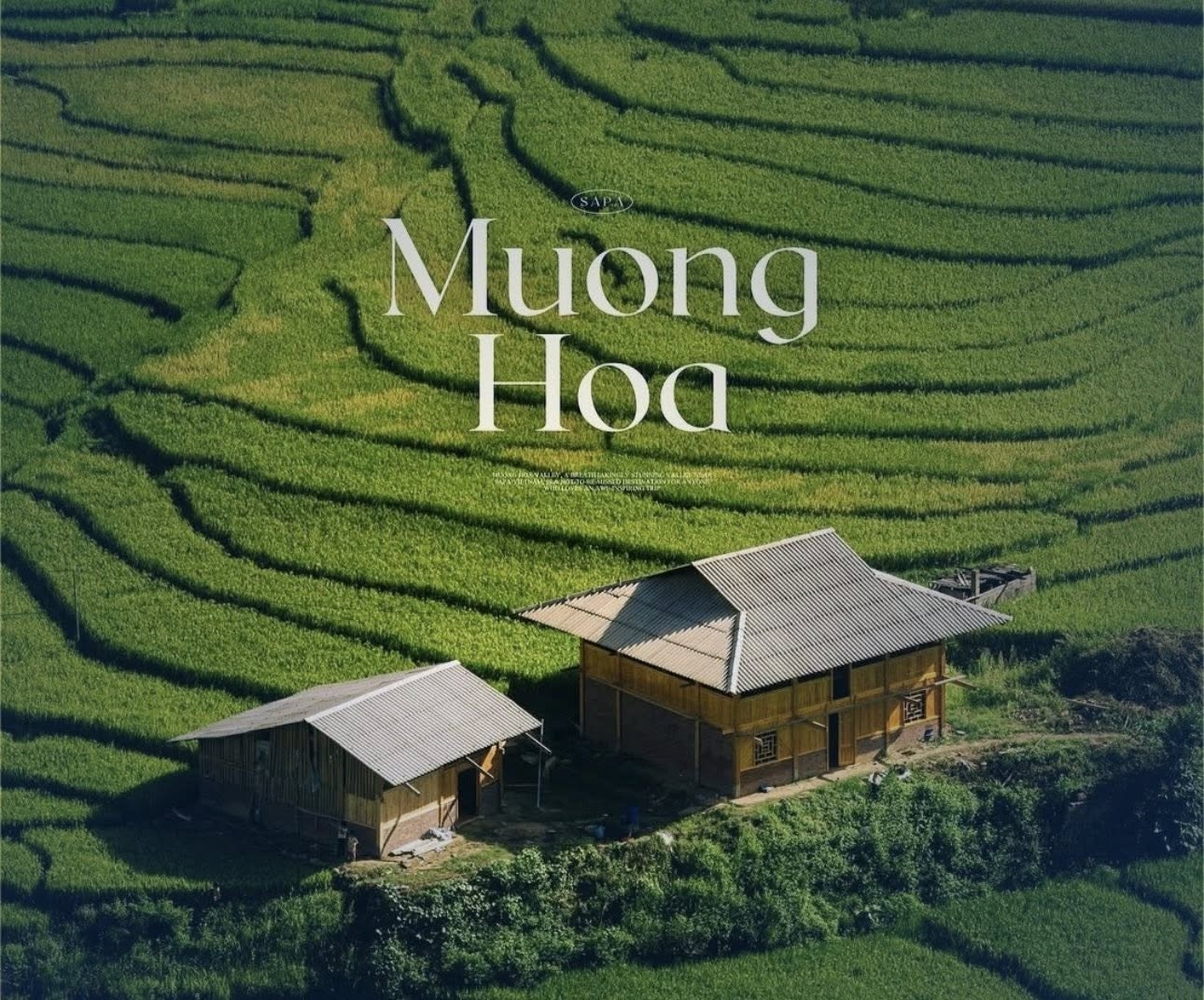 ban-da-biet-10-homestay-sa-pa-danh-cho-gia-dinh-view-dep-gia-re-chua-3.jpg