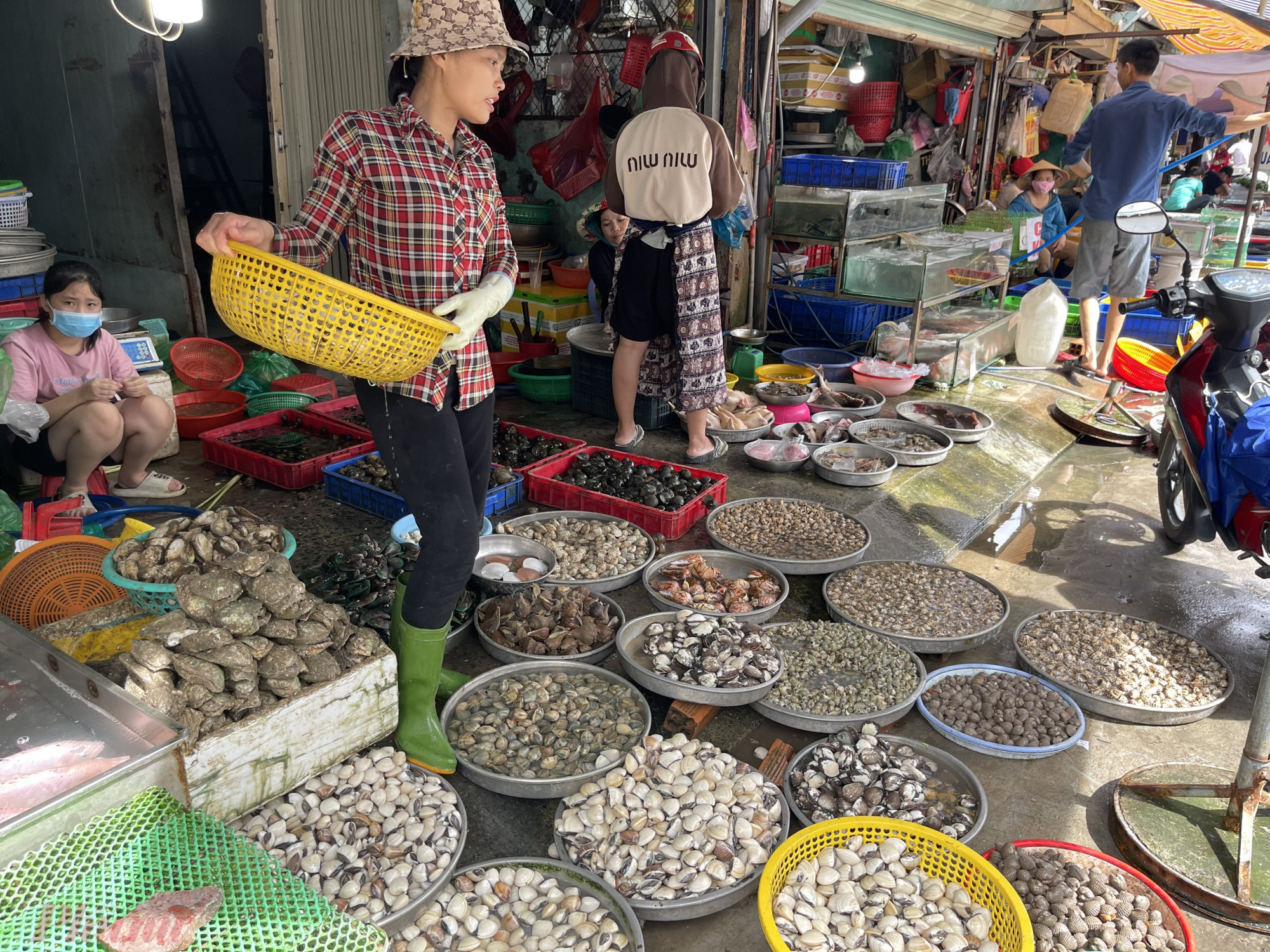 homestay-dong-chau-va-nhung-diem-dang-luu-y-8.jpg