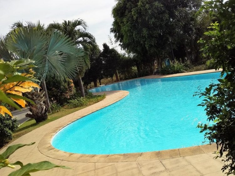 homestay-sai-gon-co-ho-boi-dep-khong-gian-nghi-duong-ly-tuong-giua-long-thanh-pho10.jpg