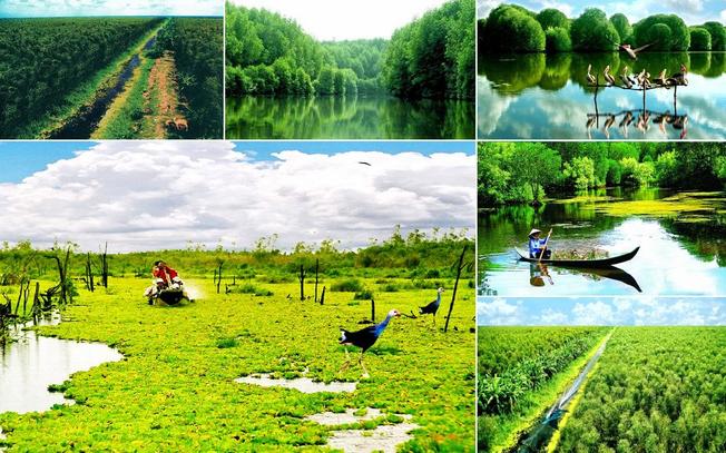 kham-pha-diem-den-nghi-duong-hap-dan-tai-homestay-ca-mau-4.jpg