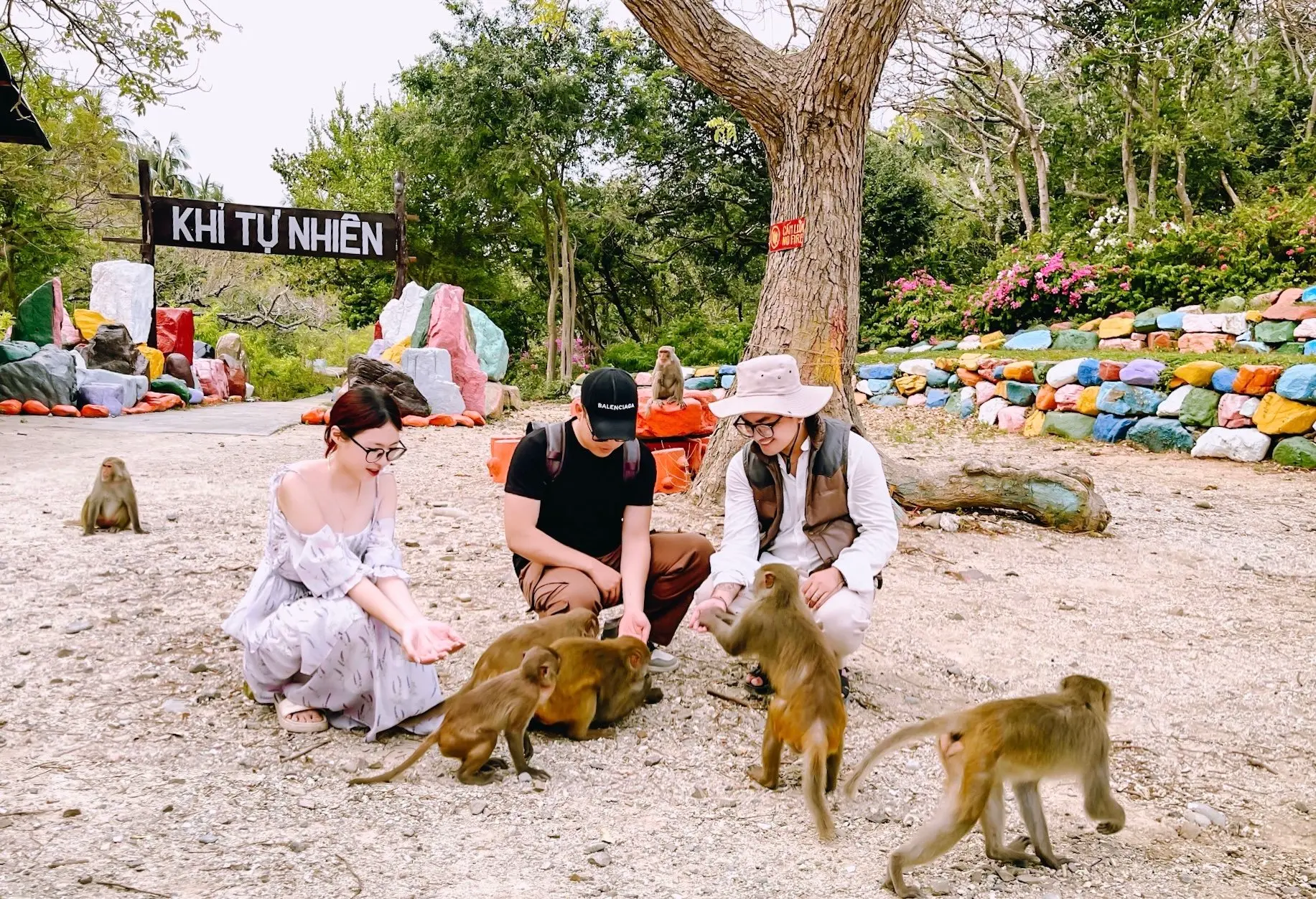 kham-pha-homestay-hon-lao-tai-khanh-hoa-9.webp