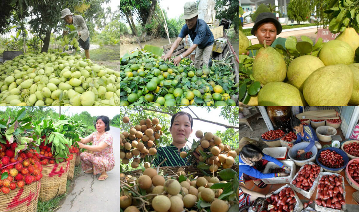 kham-pha-homestay-tien-giang-5.jpg