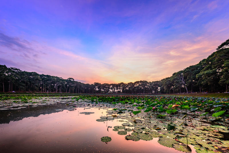 kham-pha-homestay-tra-vinh-8.jpg