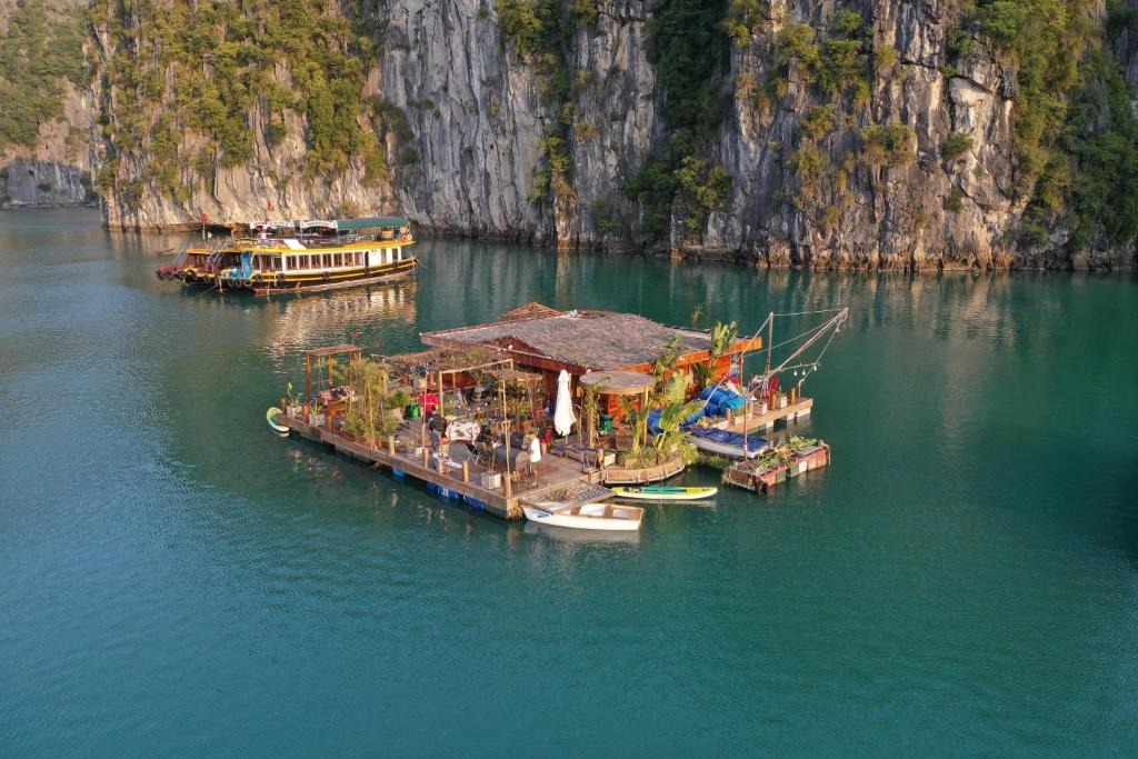 kham-pha-top-7-homestay-cat-ba-danh-cho-gia-dinh-ly-tuong-nhat-05.jpg