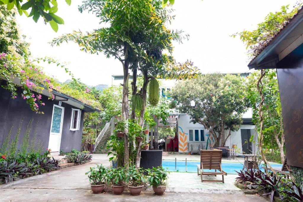 kham-pha-top-7-homestay-cat-ba-danh-cho-gia-dinh-ly-tuong-nhat-08.jpg
