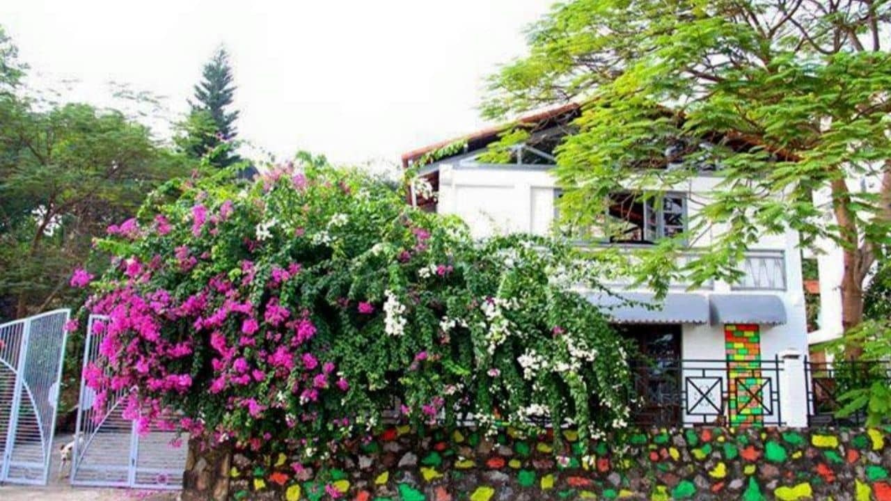 kham-pha-top-7-homestay-tuan-chau-danh-cho-cap-doi-lang-man-nhat-03.jpg