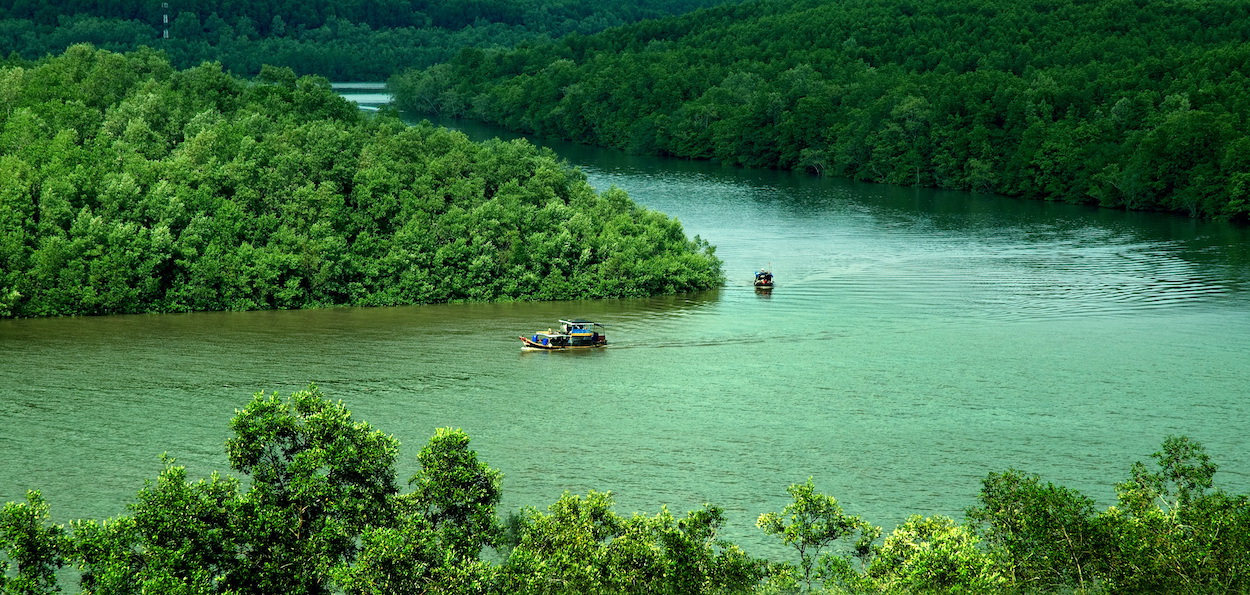kinh-nghiem-du-lich-can-gio-2-02.jpg