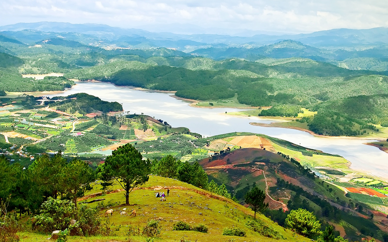 kinh-nghiem-du-lich-dankia-suoi-vang-tai-lam-dong-10.jpg