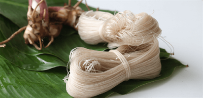 kinh-nghiem-du-lich-ho-ba-be-tai-bac-kan-6.png
