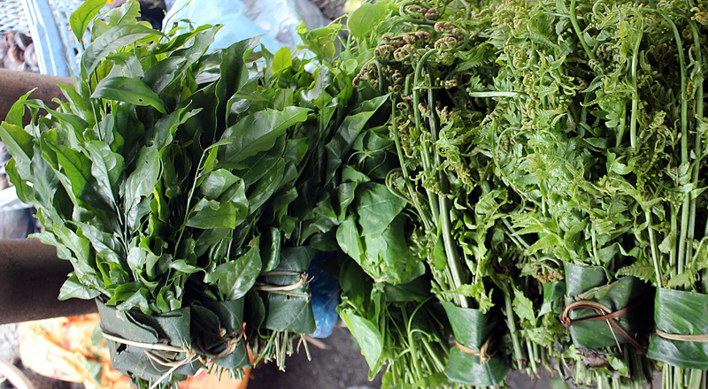 kinh-nghiem-du-lich-huong-son-ha-noi-8.jpg