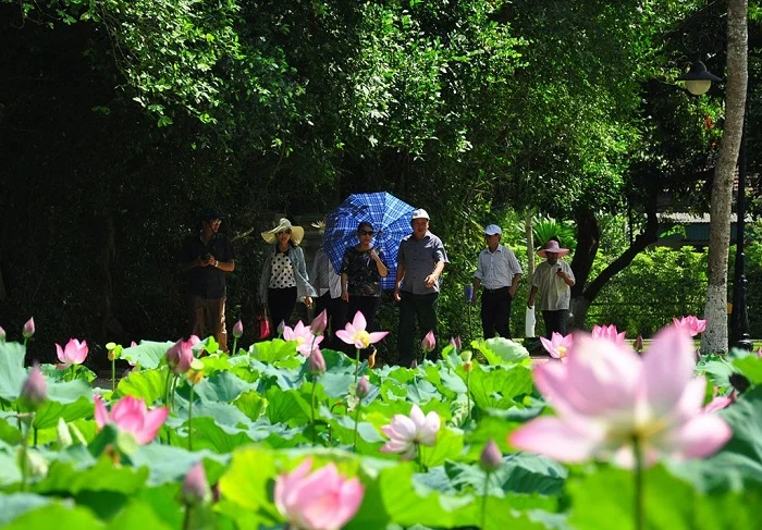 kinh-nghiem-du-lich-khu-di-tich-lich-su-kim-lien-2.webp