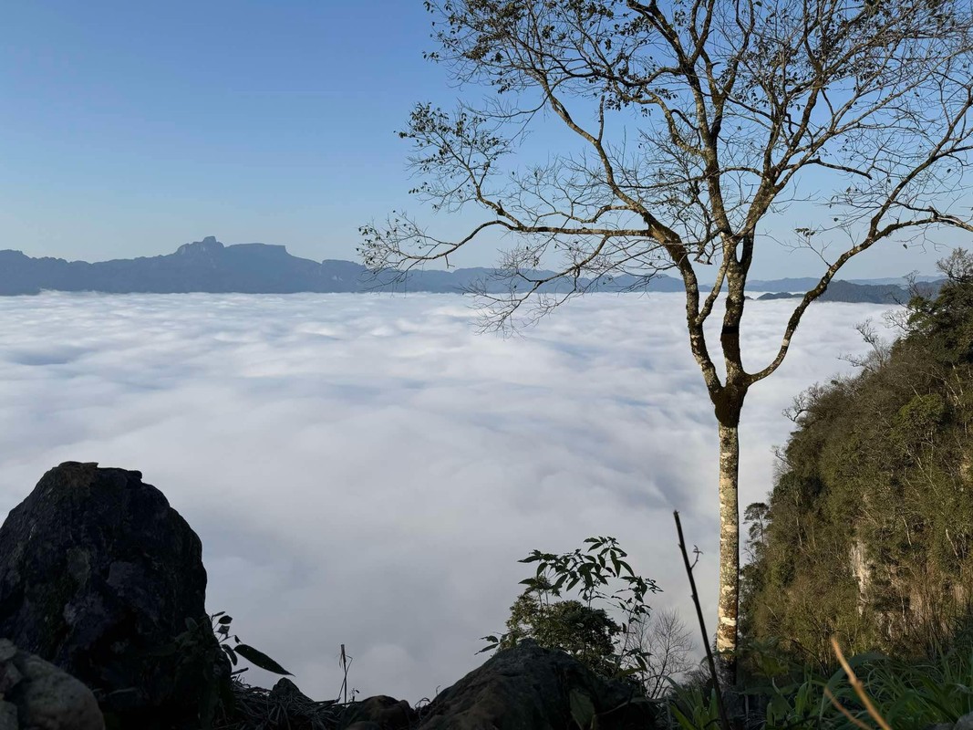 kinh-nghiem-du-lich-moc-chau-18.jpg