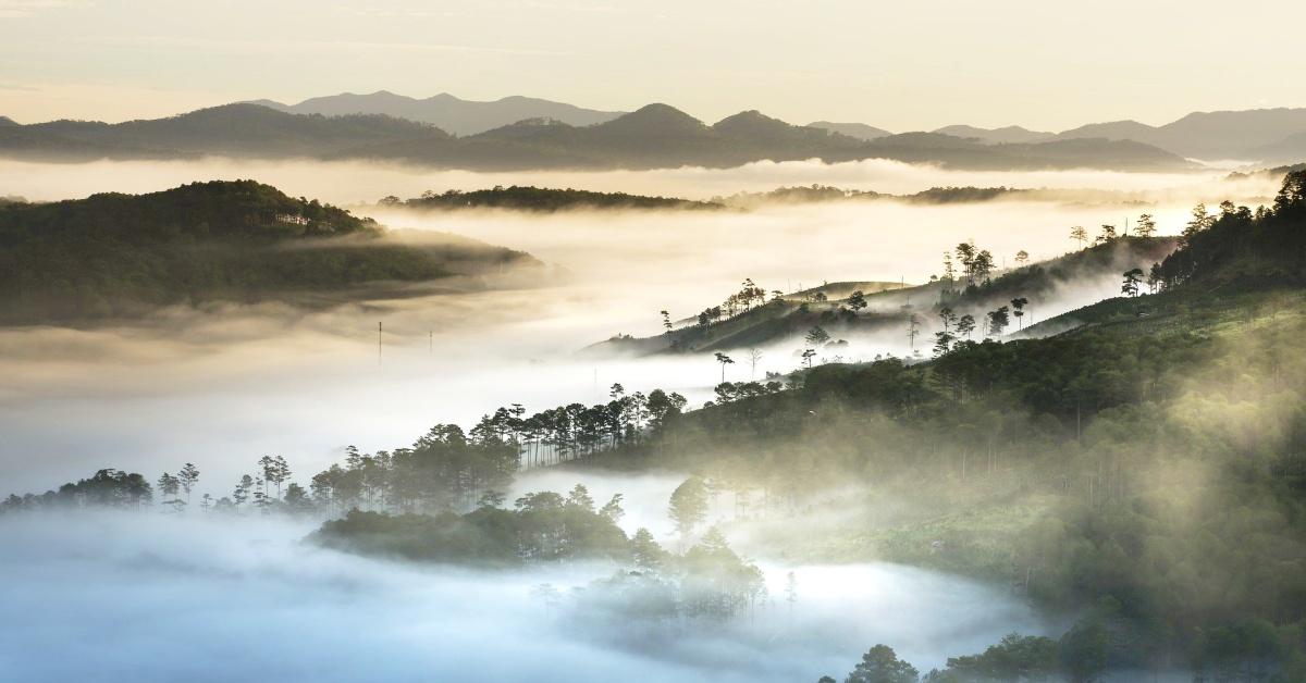 kinh-nghiem-du-lich-mui-dai-lanh-vinh-van-phong-8.jpeg