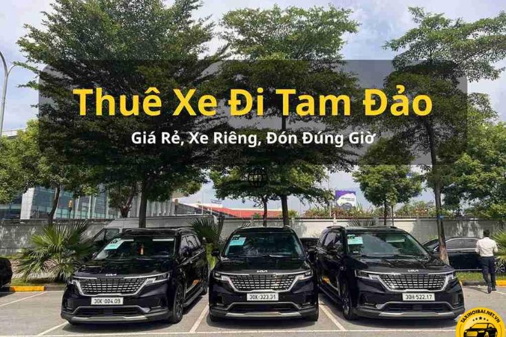 kinh-nghiem-thue-xe-tam-dao-4.jpg
