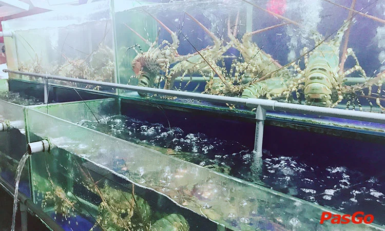 Hình ảnh nhà hàng