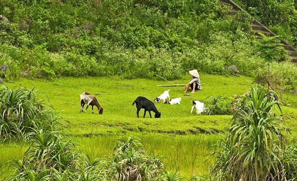 Hình ảnh nhà hàng