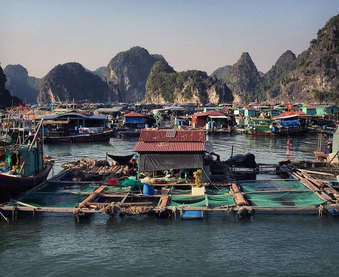 tan-huong-ky-nghi-binh-yen-tai-homestay-cat-ba-03.jpg