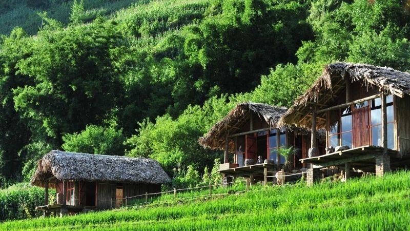 top-10-homestay-sa-pa-danh-cho-cap-doi-view-dep-den-ngo-ngang.jpg