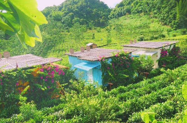 top-10-homestay-son-la-danh-cho-cap-doi-023.jpg