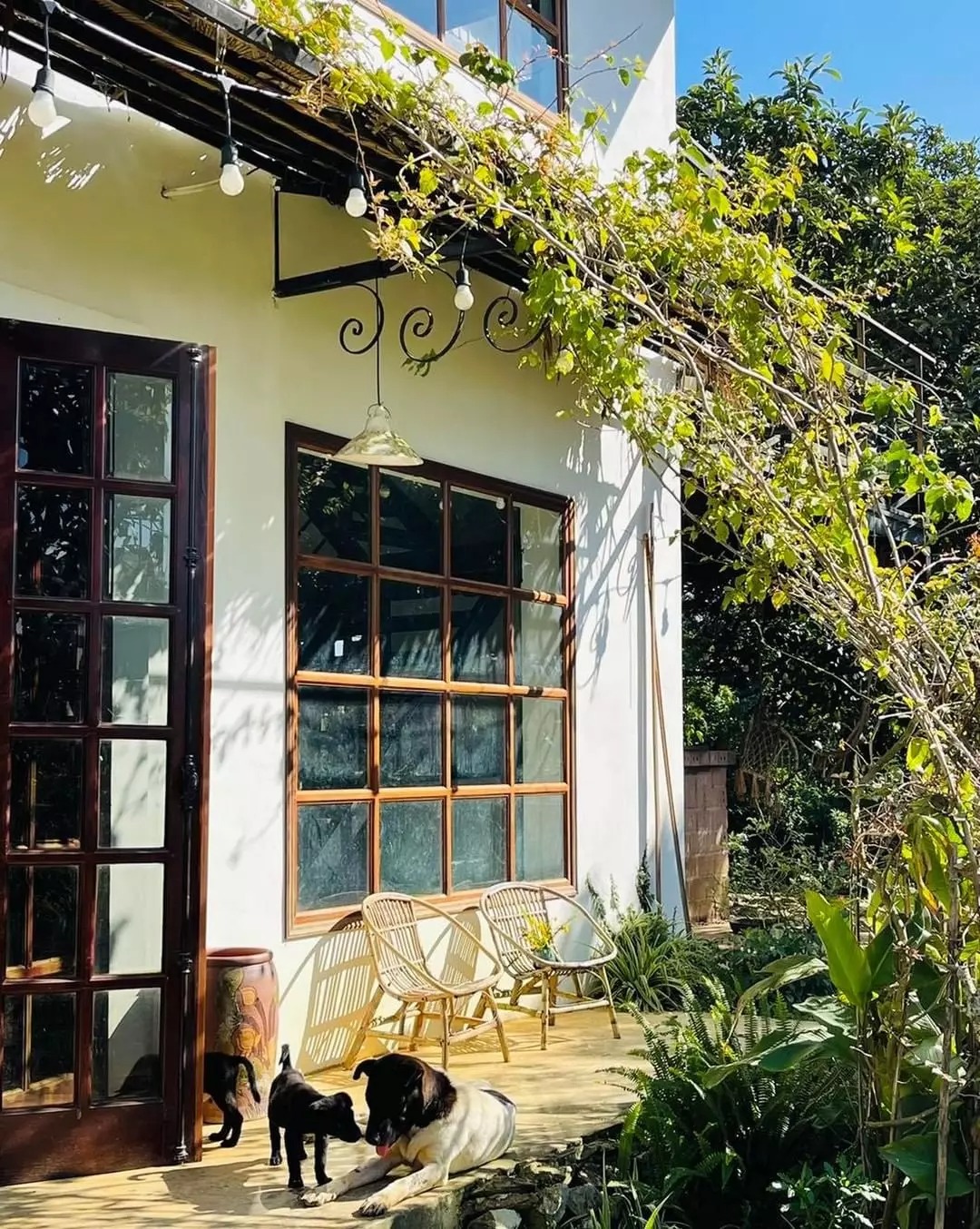 top-8-homestay-moc-chau-danh-cho-cap-doi-08.jpg