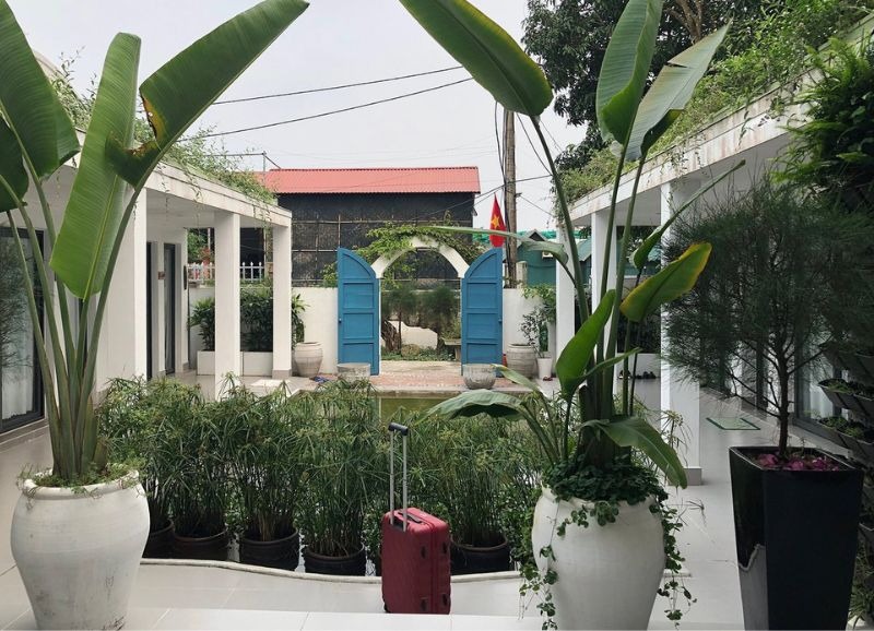 top-homestay-gan-bien-o-co-to-cho-ky-nghi-tron-ven-cung-bien-xanh-cat-trang5.jpg